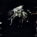 El inquietante y misterioso caballo, de significación apocalíptica, que recorrió el Sena durante la blasfema ceremonia inaugural de los Juegos Olímpicos de París.