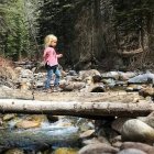 Un padre y una hija en el bosque, foto de Morgan David de Lossy para Unsplash