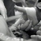 Bienvenido a este mundo...