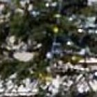 El tradicional Angelus del día de San Esteban.