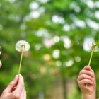 Un momento para cada cosa: también para relajarse.