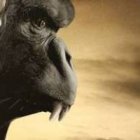 La leyenda de Tarzán