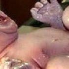 Recién nacido: un canto a la vida.