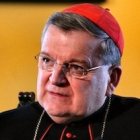 El cardenal Burke ha sido también obispo de LaCrosse (Wisconsin) y arzobispo de St Louis (Missouri).