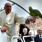 La expectación ante lo que pueda decir Francisco sobre el medio ambiente y la naturaleza ha ido creciendo al acercarse el momento de la publicación de la encíclica.