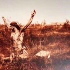 La impresionante figura del Cristo roto, última imagen que vieron miles de guerreros portugueses antes de morir.