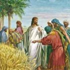 ¿por qué hacen en sábado lo que no está permitido?