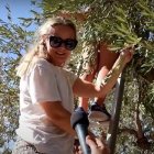 Una madre de familia sueca recoge aceitunas en el Huerto de los Olivos... la Iglesia tiene un uso para ellas