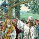 Zaqueo era de baja estatura.