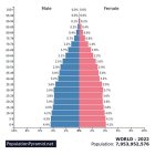 La pirámide demográfica del mundo en 2022 muestra que, por primera vez en la historia, hay más abuelos que nietos.