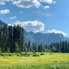 La próxima vez que nos sintamos perdidos por el aparente silencio de Dios, podríamos simplemente contemplar sus obras.
