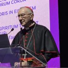 El cardenal Parolin en la apertura del Jubileo de los Influencers, en la mañana del lunes 28 de julio