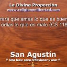 San Agustín. Comentario al Salmo 118, 8, 2