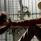 Paul Bettany interpreta a Charles Darwin en la película 'Creation [La duda de Darwin]' (2009) de Jon Amiel.