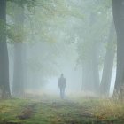 "En la sociedad expuesta, cada sujeto es su propio objeto de publicidad. Todo se mide en su valor de exposición." (Byung-Chul Han)