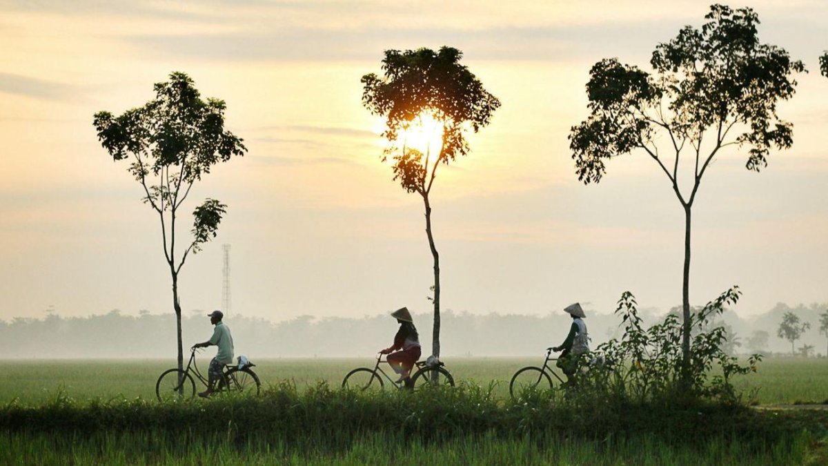 Tres personas en bicicleta en el amanecer