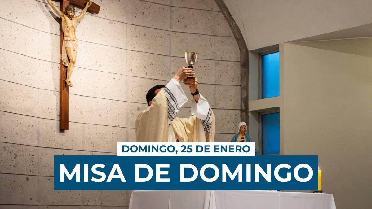 La iglesia celebra este domingo el Domingo de la Palabra de Dios, instituido por Francisco en 2019.
