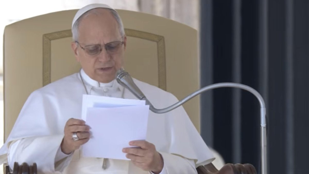 El Papa continuó con el ciclo sobre 