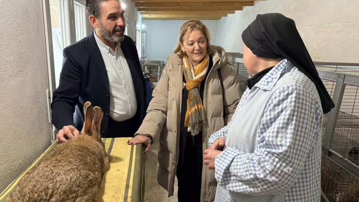 En las instalaciones del convento viven 36 animales —20 hembras y 16 machos—.