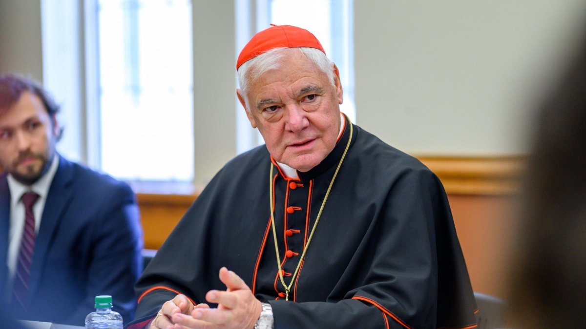El cardenal Müller tiene una visión de conjunto muy rica frente a las polémicas actuales por su condición de prefecto emérito de la Congregación para la Doctrina de la Fe y por ser alemán.