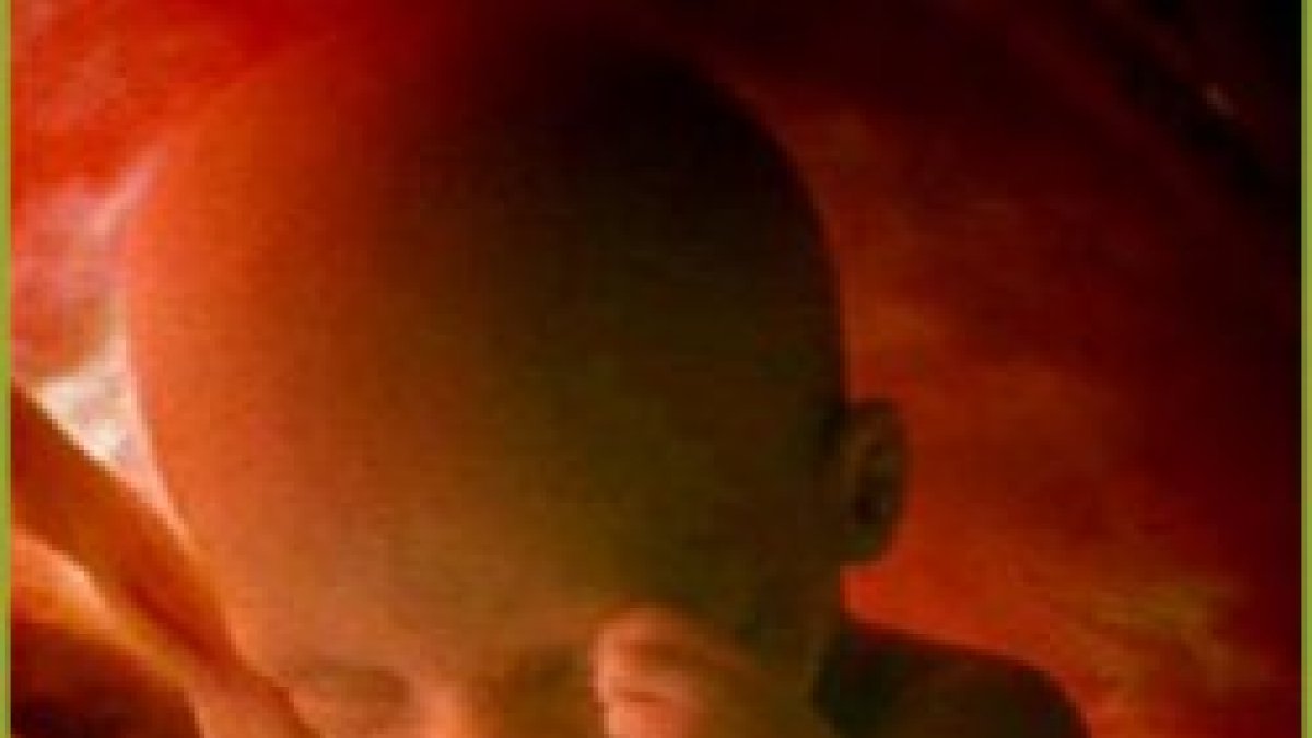 Las mujeres en España abortan en uno de cada cinco embarazos