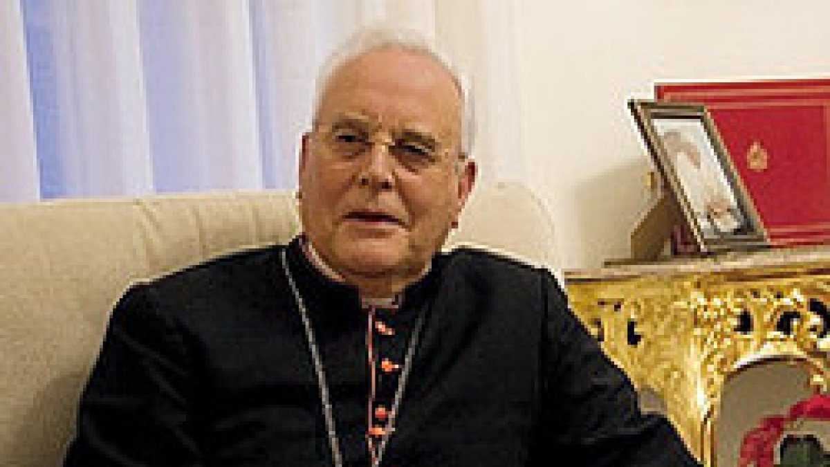 El Cardenal Amigo pide a los católicos no caer en un 