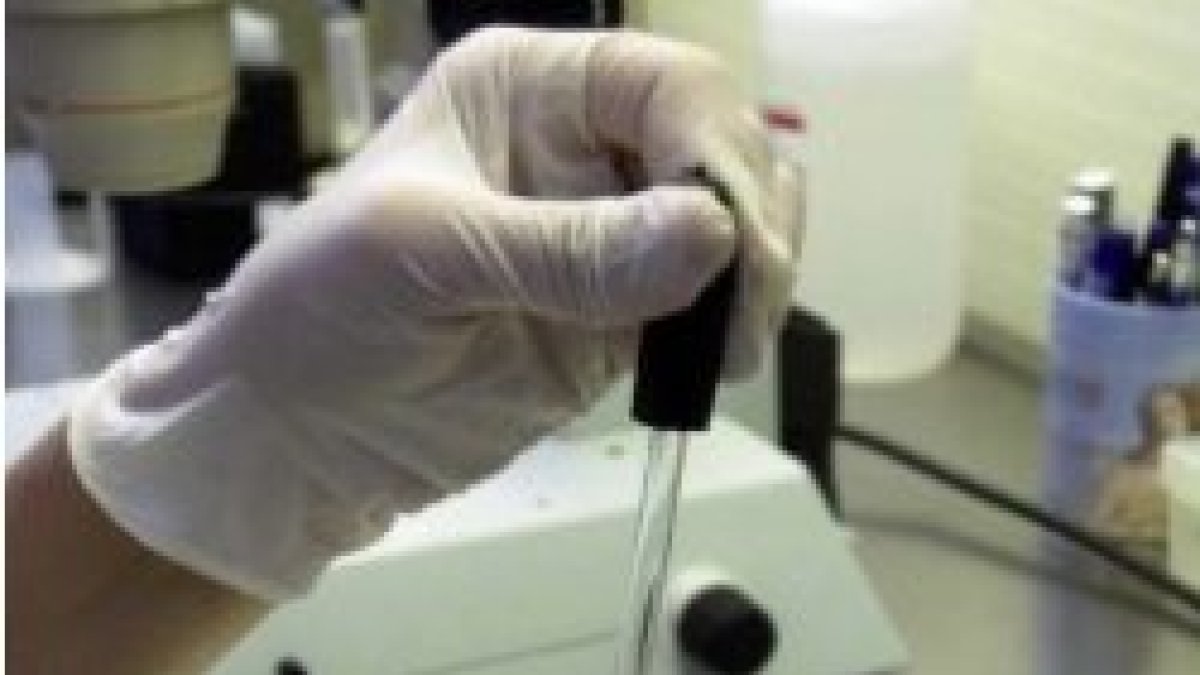 Embriones humanos: ni usarlos ni tirarlos