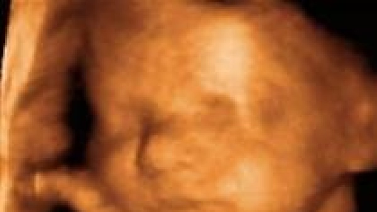 Un dato para Obama: los provida son mayoría en los EEUU