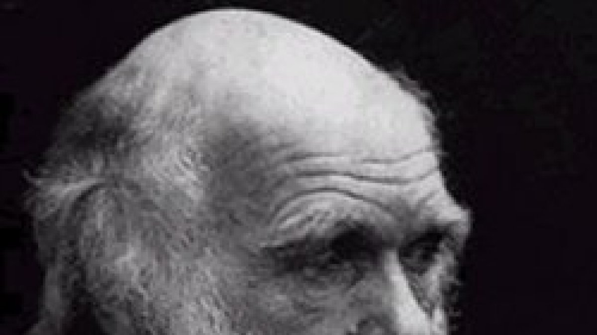 No hay evolución sin creación