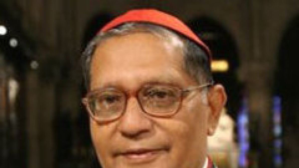 Veinte nuevos mártires en 2008