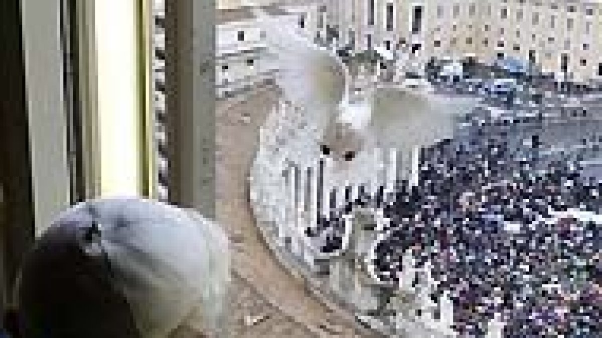 El emotivo Angelus del pasado 31 de enero