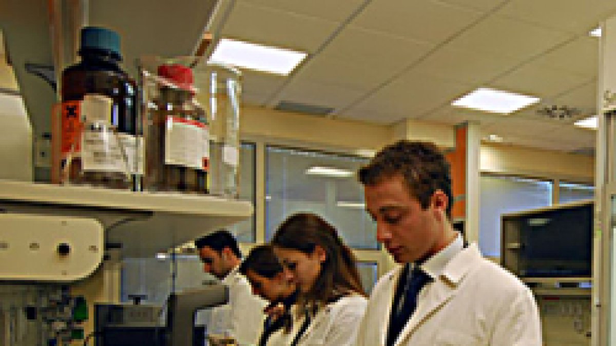 La OMS reconoce el derecho a la objeción de conciencia al diagnóstico prenatal