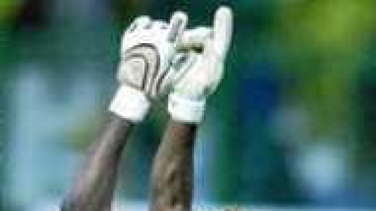 El portero de Nigeria, Vincent Enyeama