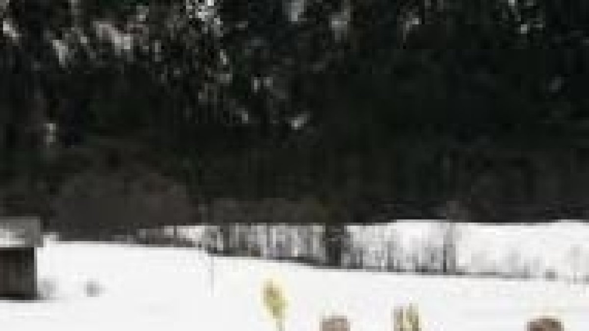 Pequeños Reyes Magos