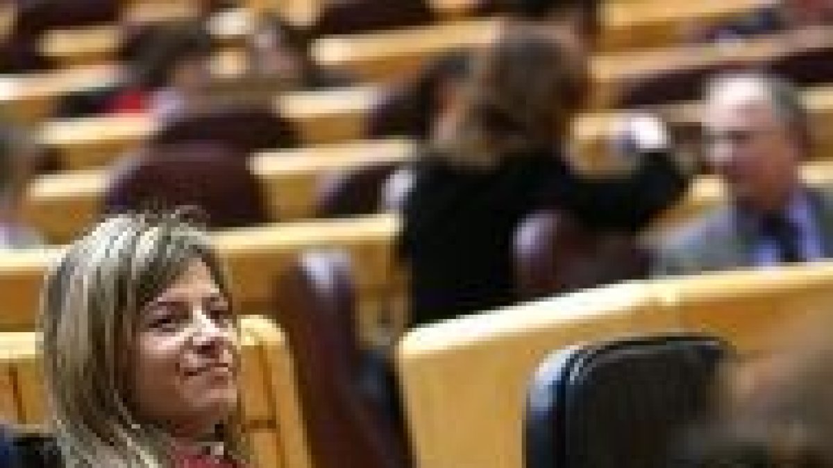 La ministra Aído en el Congreso