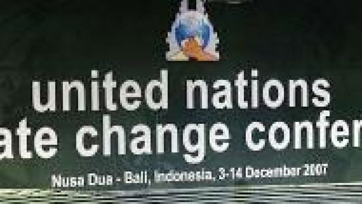 El Papa a la ONU: «Todos estamos llamados a administrar con responsabilidad la Creación»