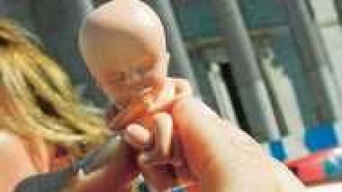 Un «bebe Aído» ante el Parlamento