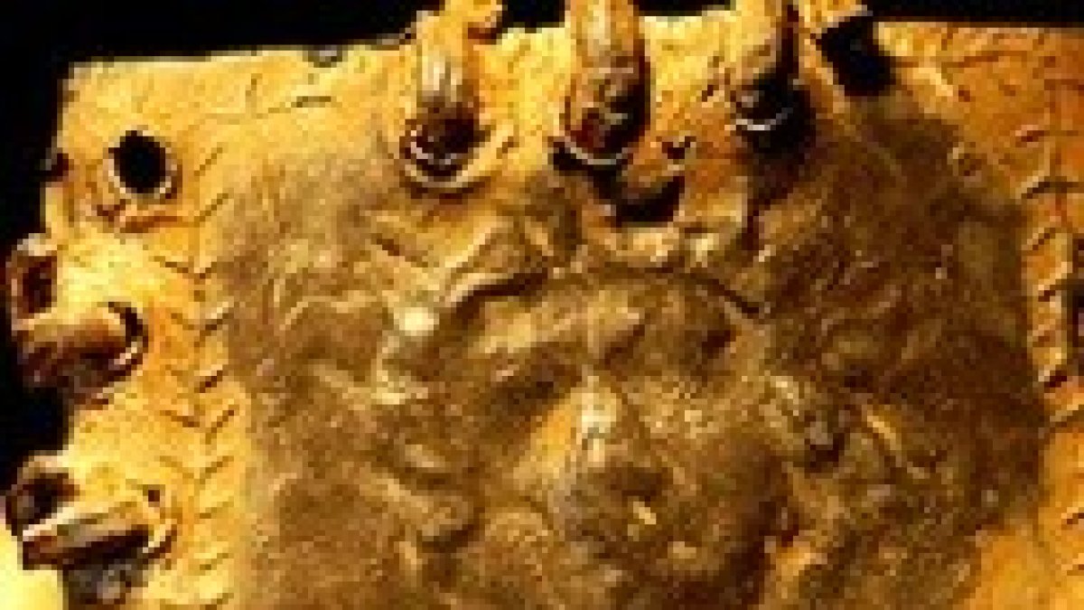 Lámina de bronce hallada en Jordania