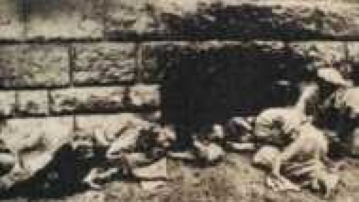 Niños cristianos armenios masacrados por los turcos