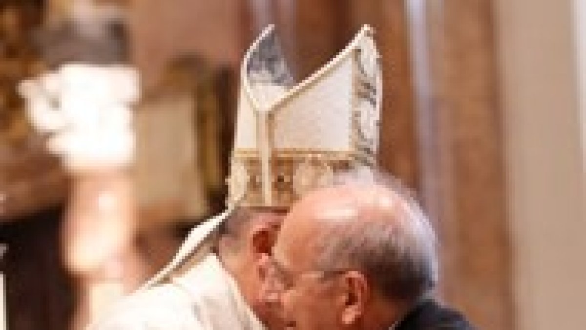 Cooperatores Veritatis