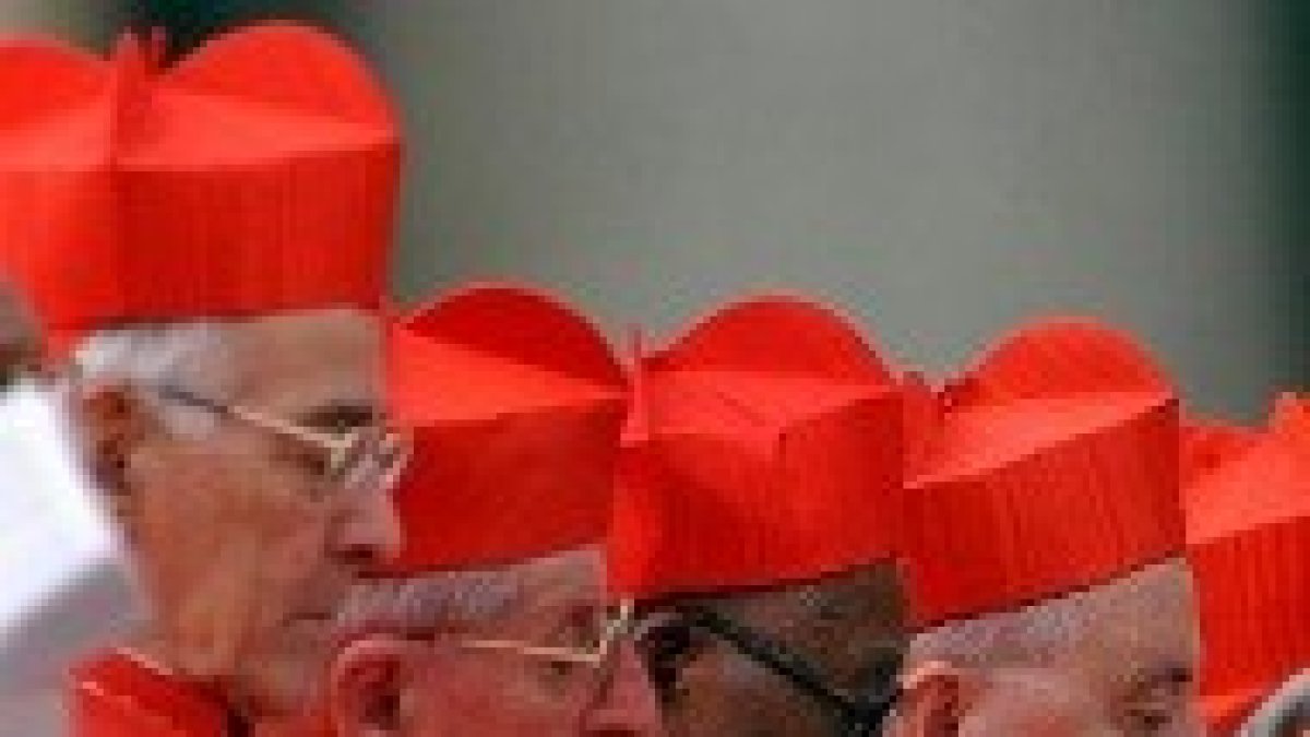 Un grupo de cardenales