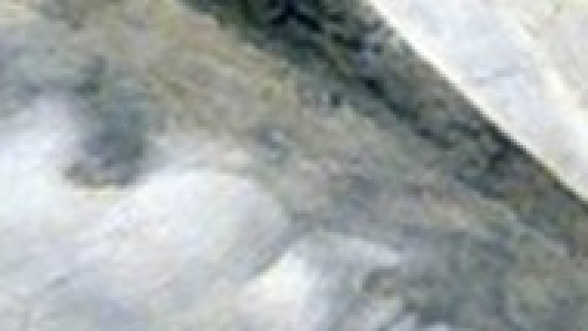 Detalle del fresco de Giotto