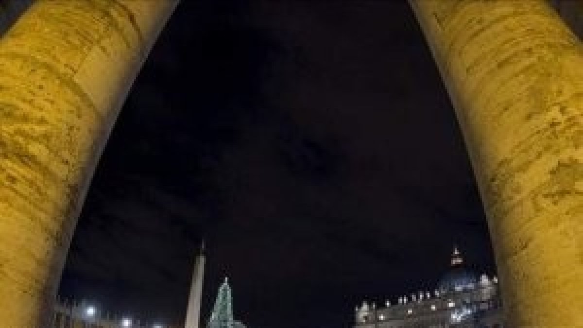 Abeto rojo en el Vaticano