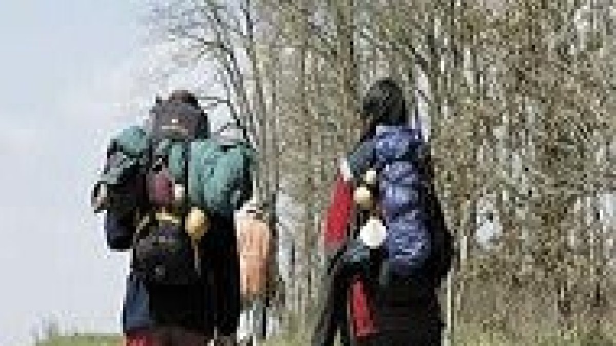 En 2011 se batió el récord de peregrinos en Santiago