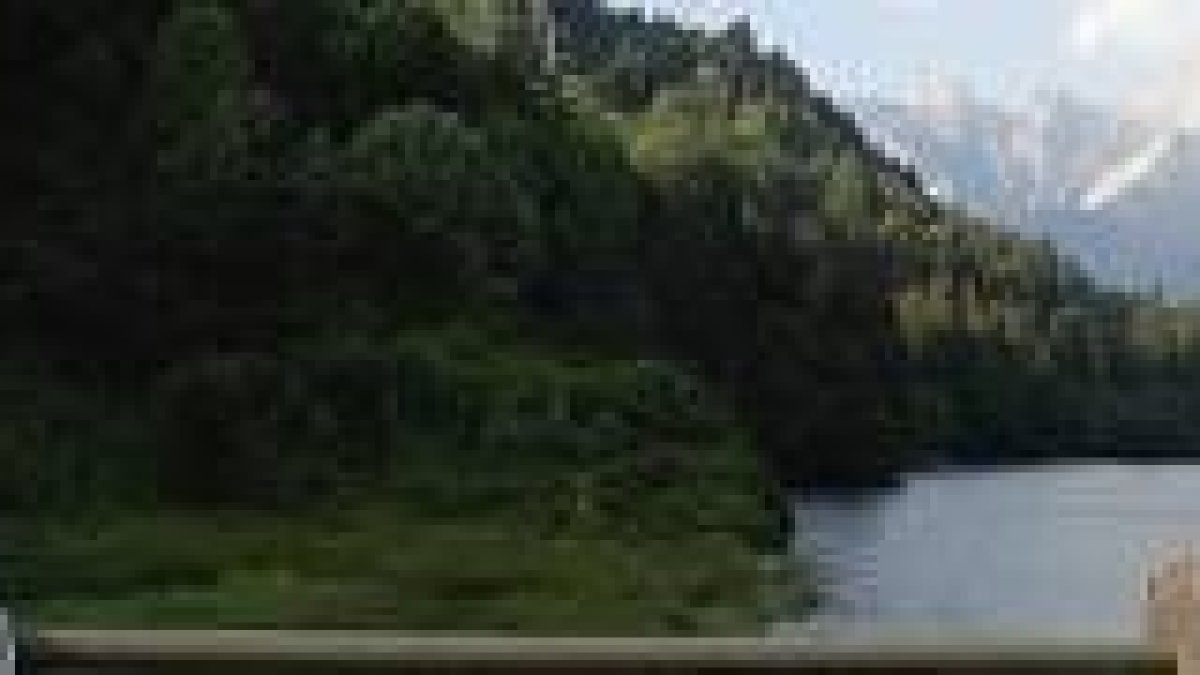 El Papa reflexiona sobre la Creación