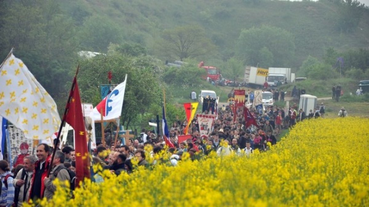 Sana envidia de Francia