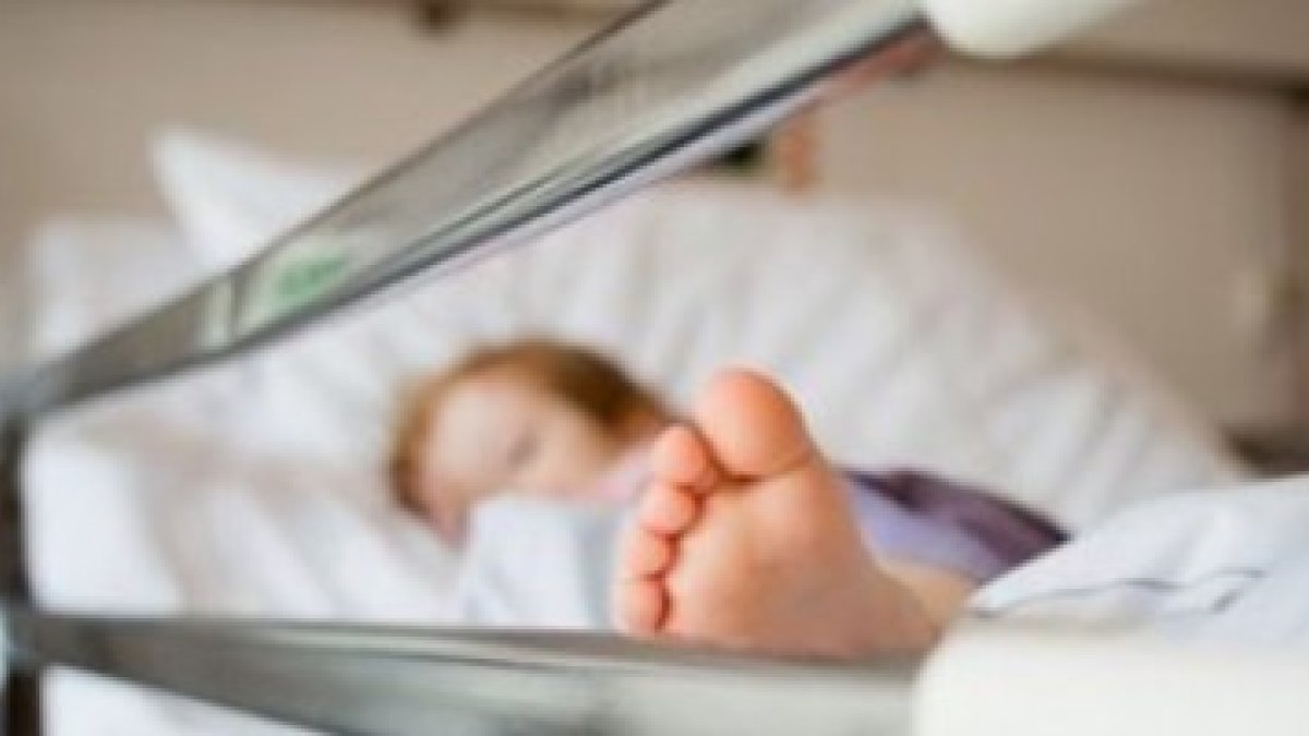 Cualquier gesto de dolor podrá ser interpretado como una petición de eutanasia... es la cultura de la muerte y el descarte