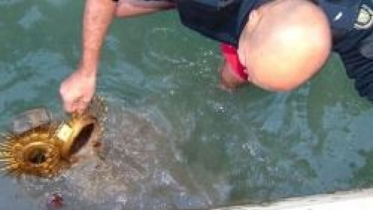 La Policía realizó esta foto en el momento de recuperar los objetos del canal