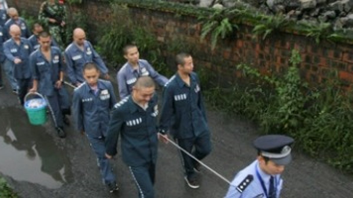 Un policía conduce numerosos presos de un campo de trabajo chino tomados de una cuerda