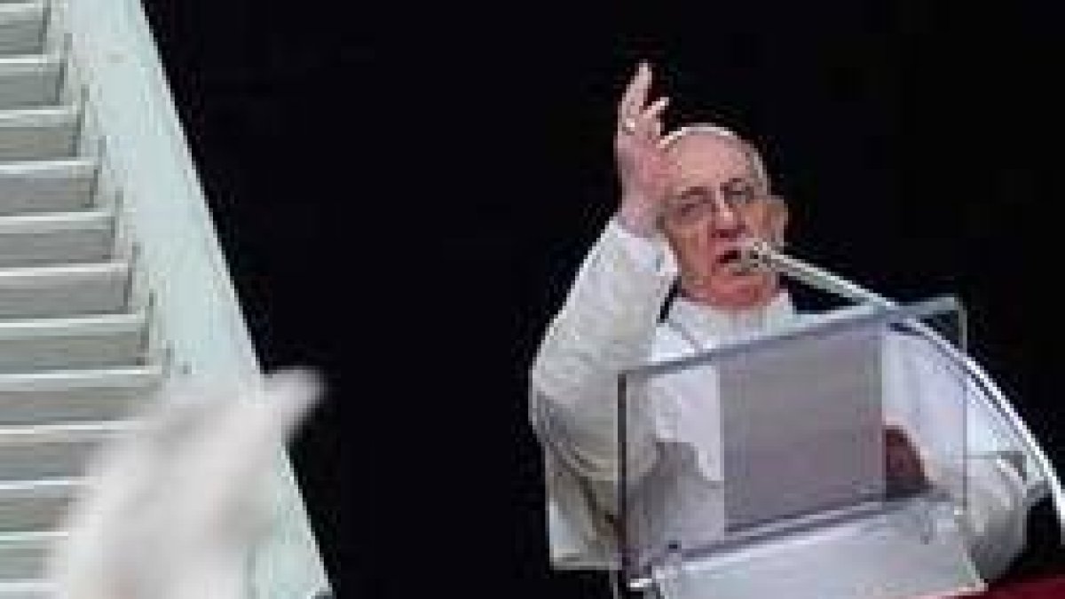 El Papa Francisco exhorta en el Ángelus a leer más el Evangelio